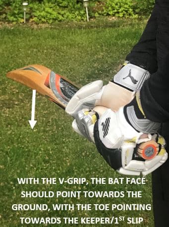 Questa immagine mostra come appare il V-grip quando il pipistrello viene raccolto 