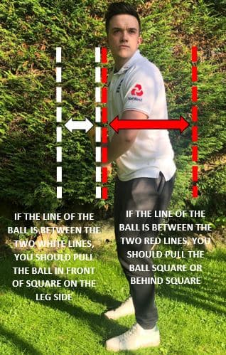 Ricky Ponting's pull shot rules